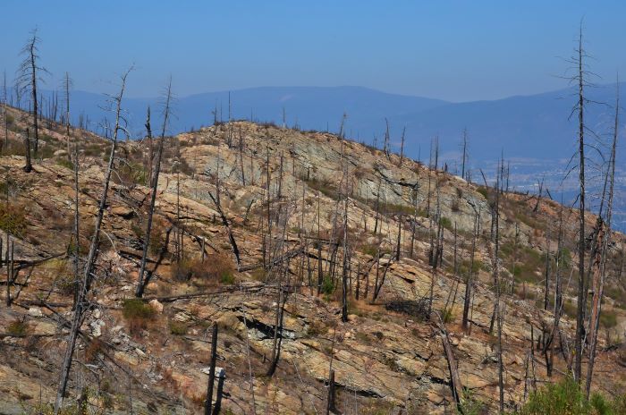 Les conséquences d'un incendie de forêt près de Kelowna, en Colombie-Britannique.